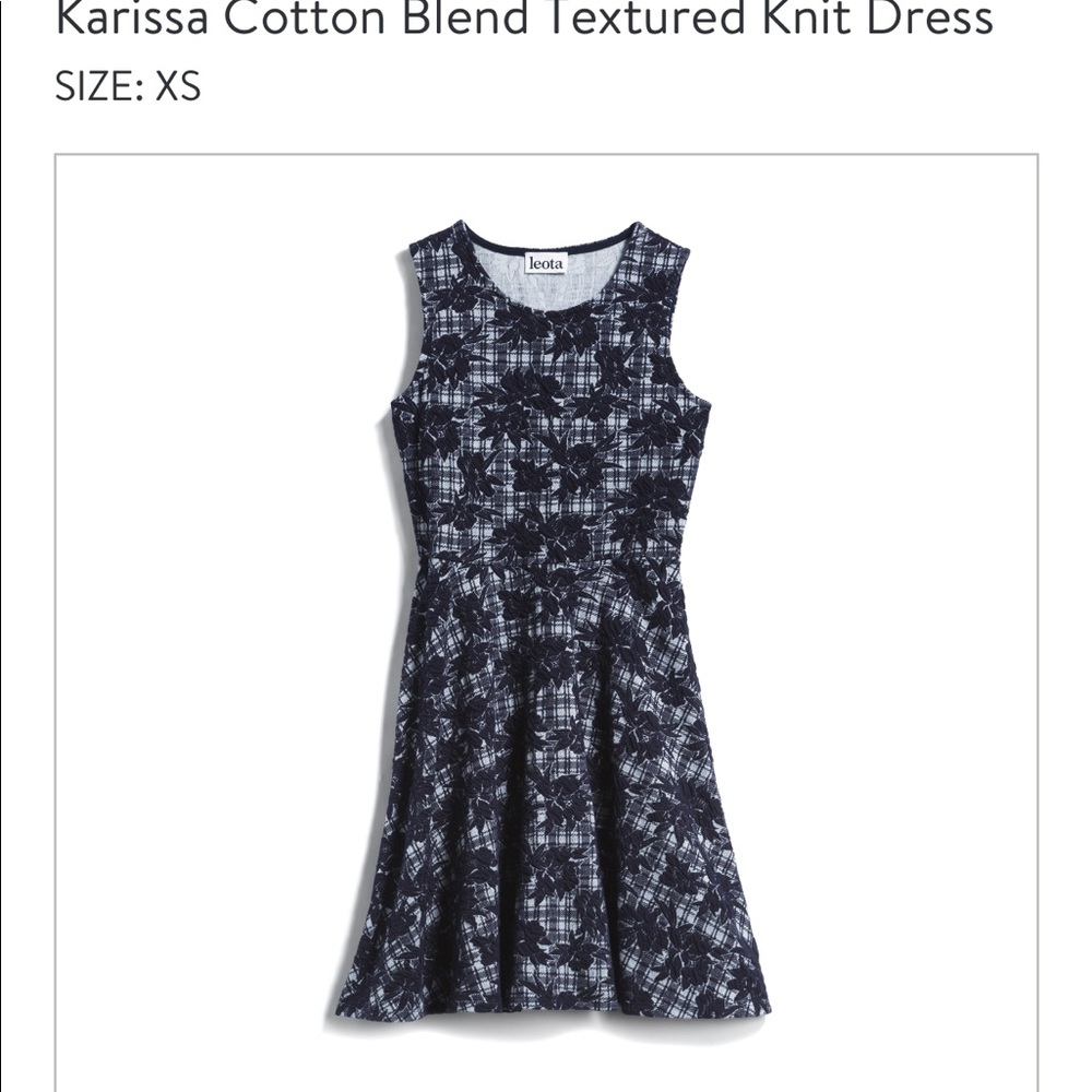 Stitch Fix Leota dress